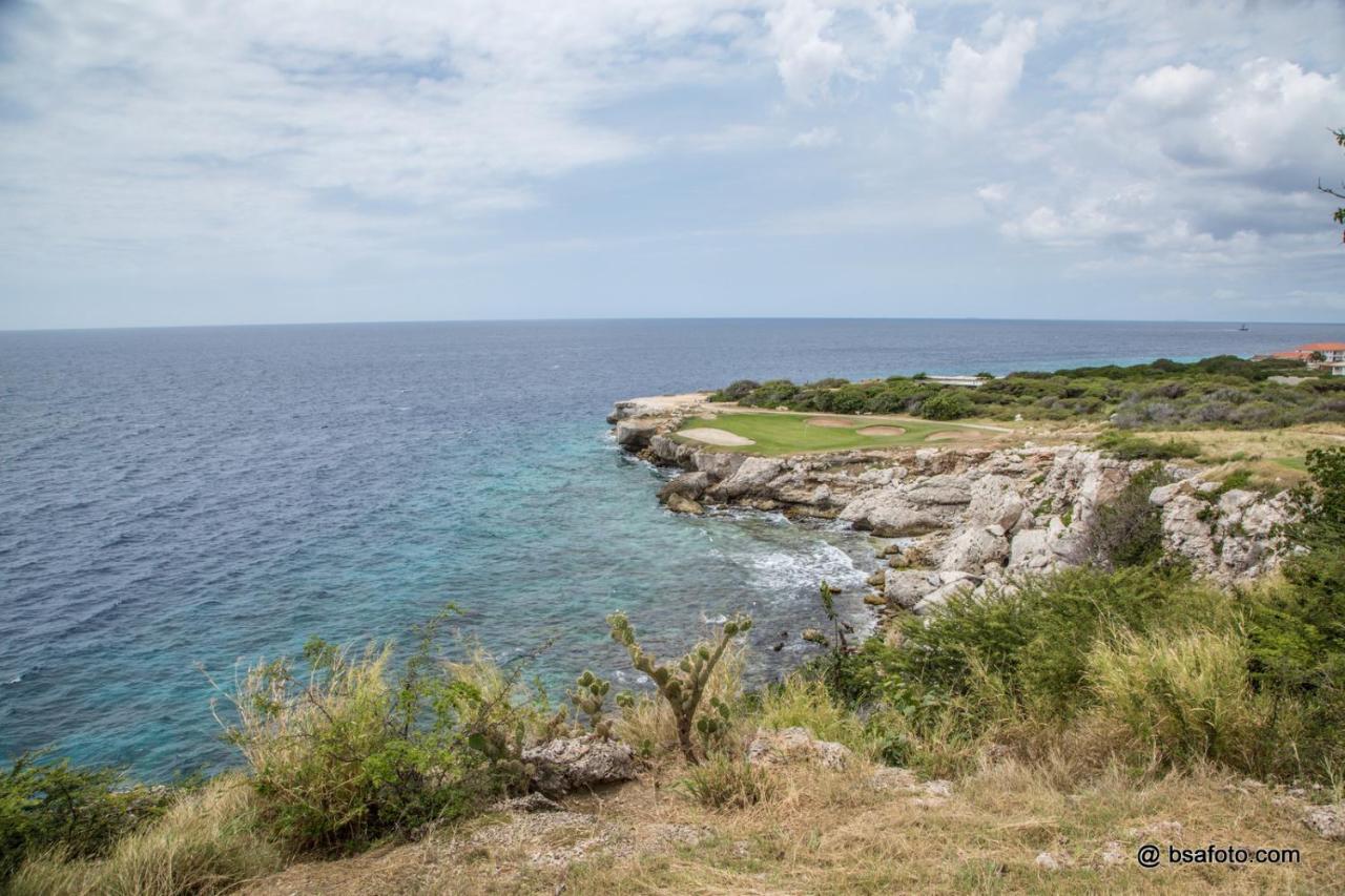 Blue Bay Penthouse Reef 5, Beach Golf Pool Dive With Ocean View Dorp Dorp Sint Michiel Zewnętrze zdjęcie
